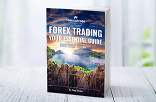 Forex Trading Your Essential Guide